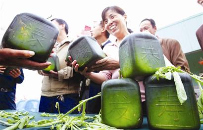 武汉市农科所攻关三年成功 汉产方西瓜金秋亮