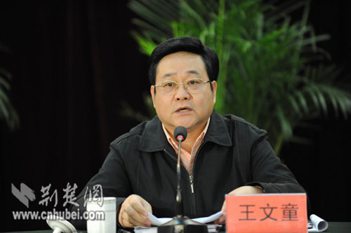 湖北财政厅召开会计师事务所深入学习实践科学