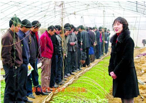 大棚蔬菜种植技术培训-荆楚网 www.cnhubei.co