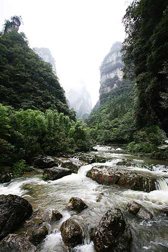 绿色流淌山水间