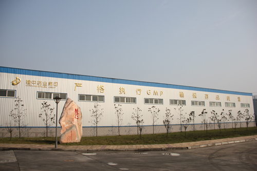 63 湖北襄阳隆中药业集团有限公司-荆楚网 ww