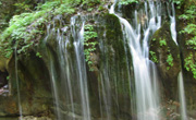 ŵ