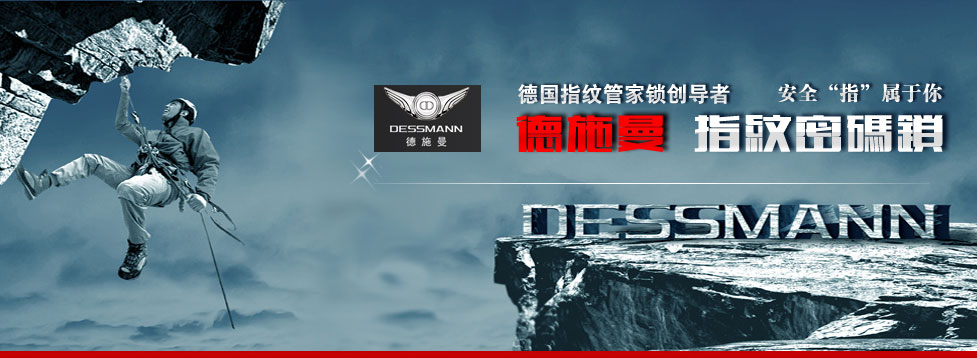 ʩָ
