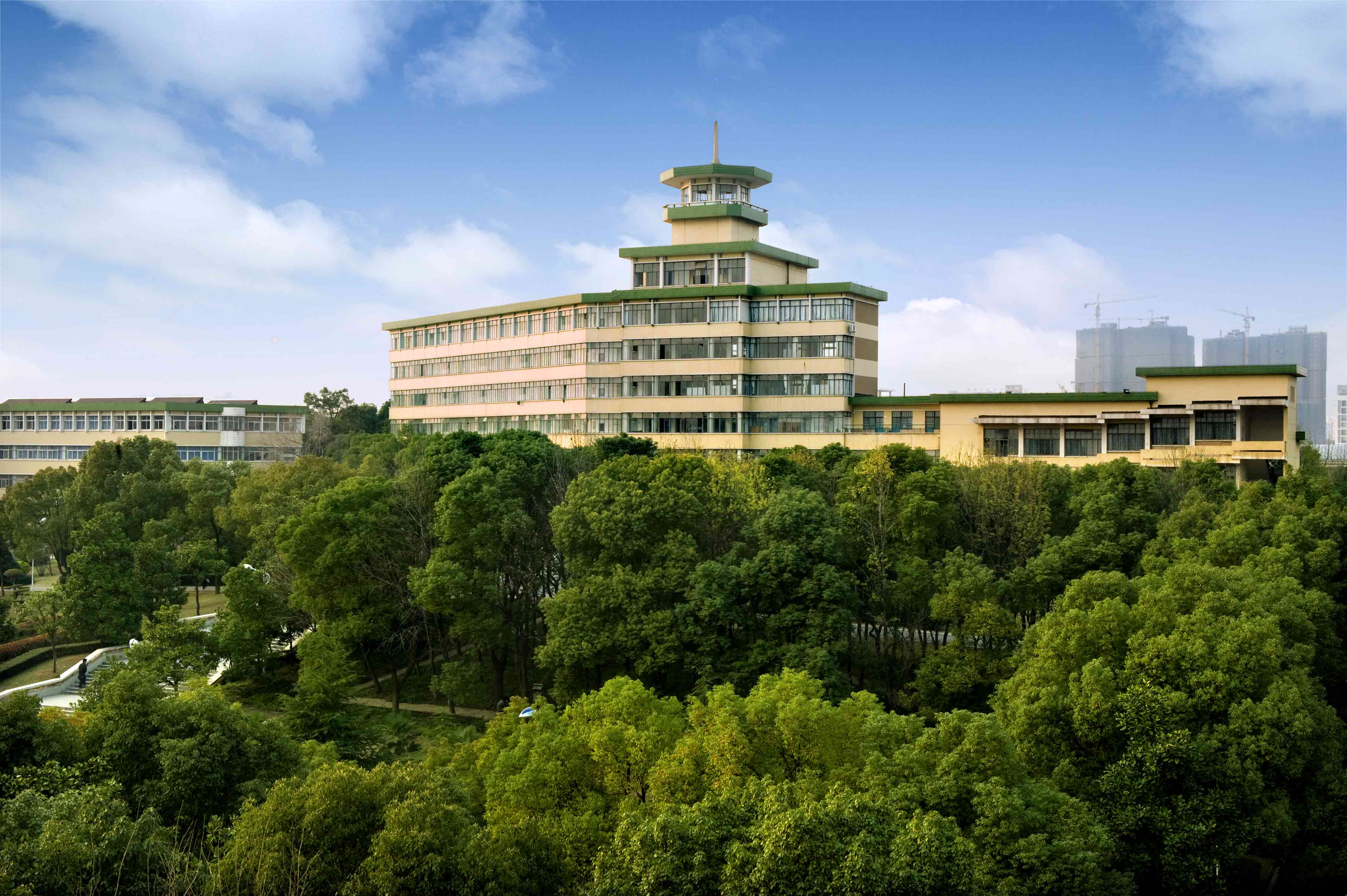 ���������ѧ