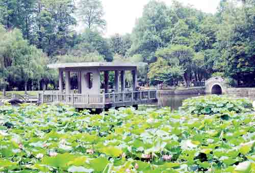 ��������