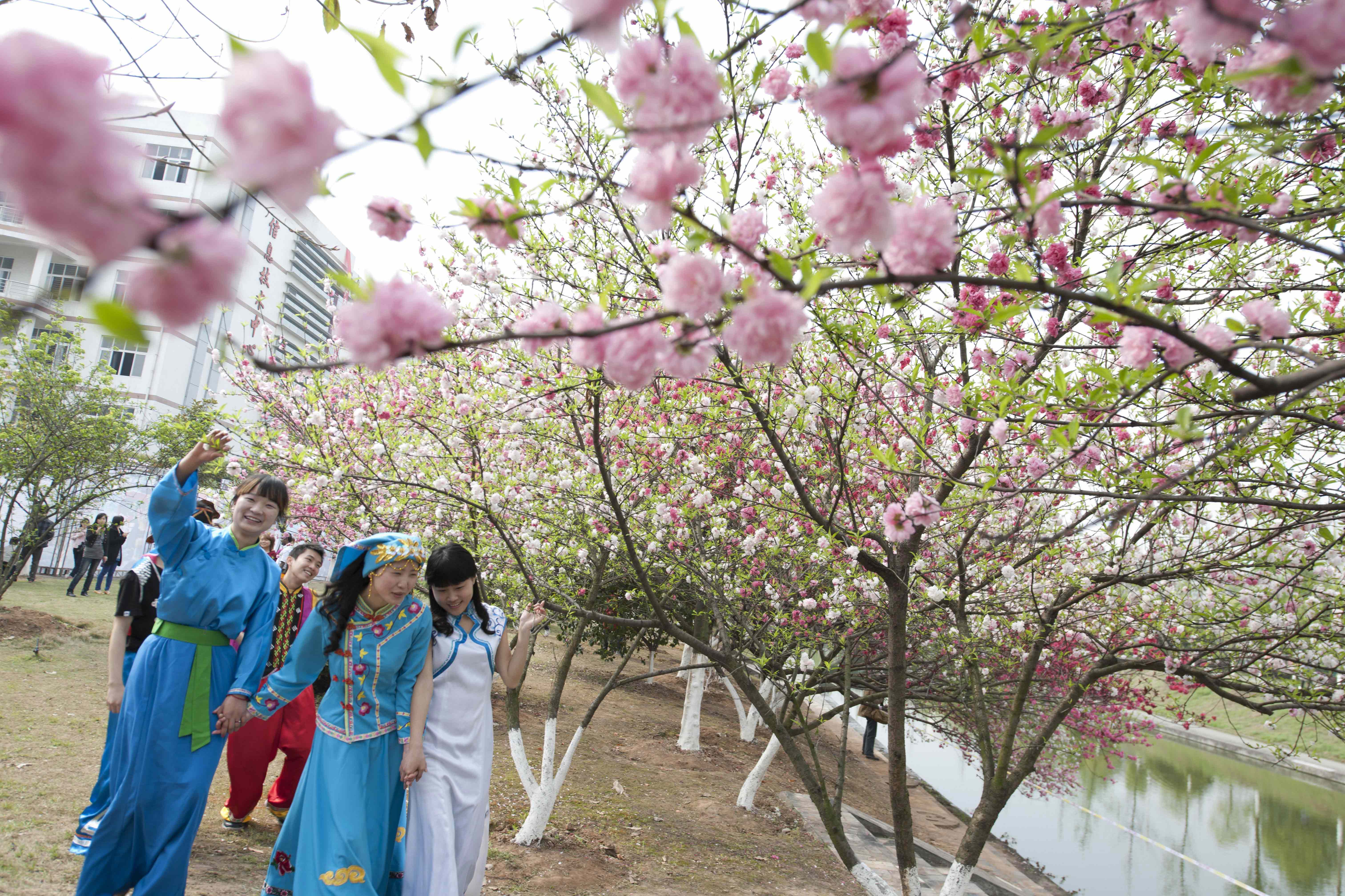 三峡大学-荆楚网 www.cnhubei.com