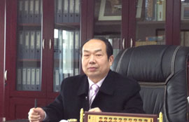 湖北能源老总_湖北能源大厦图片