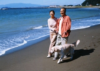 候鸟式养生养老说明会