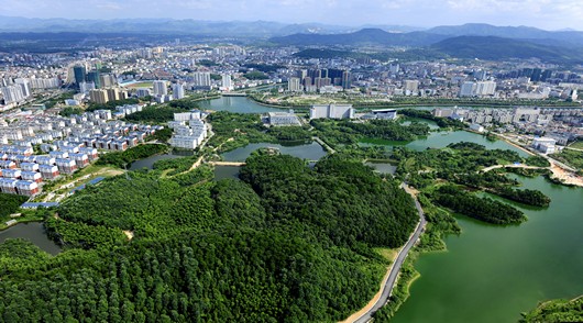 ��ɫ����