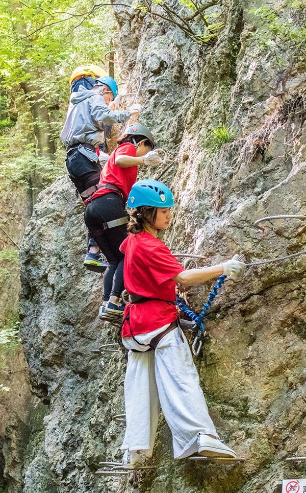 ���ڷ�����