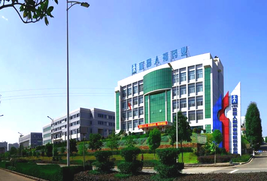 宜昌人福药业有限责任公司