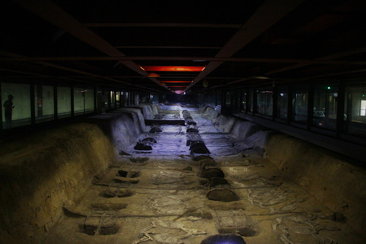 [荆州行]网媒记者走进楚王车马阵 南有熊家冢