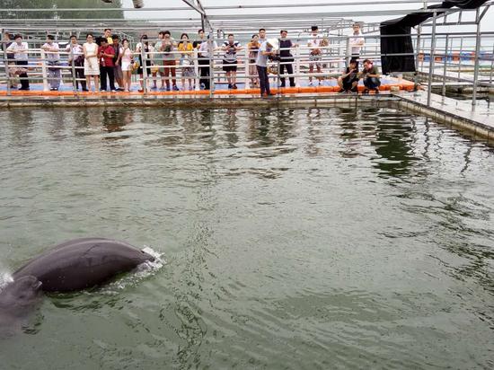 ý������뽭�����ܽӴ�