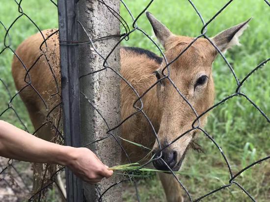 С��¹����Բ��