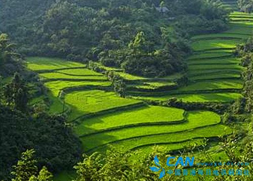 石首:一个让麋鹿和江豚迷恋的地方