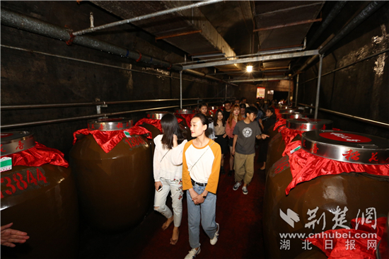 7 媒体记者参观藏酒洞.jpg 7 媒体记者参观藏酒洞.jpg