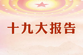 ʮŴ󱨸
