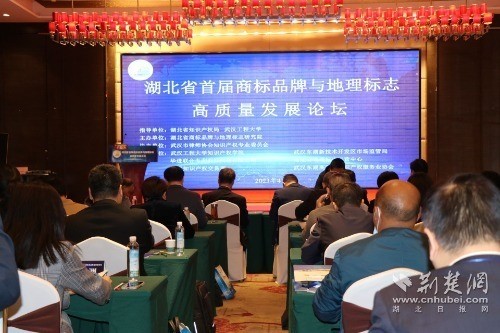 湖北省首届商标品牌与地理标志高质量发展论坛在武汉举行