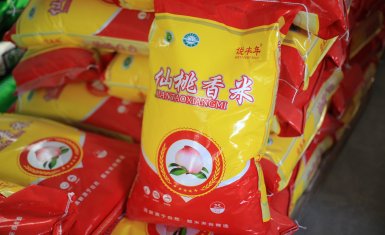 仙桃香米