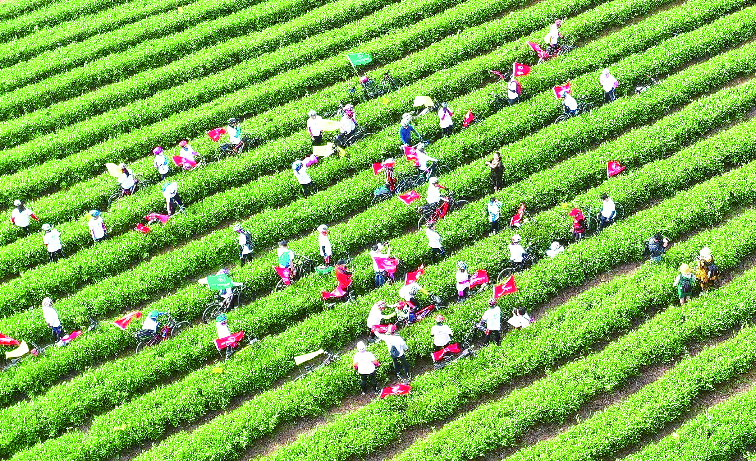 ��������