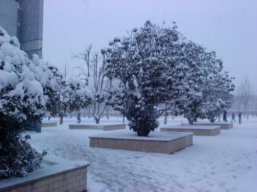 ��ѩ��ɫԤ�����������ٲ���·�ν����ʵ����ʱ����