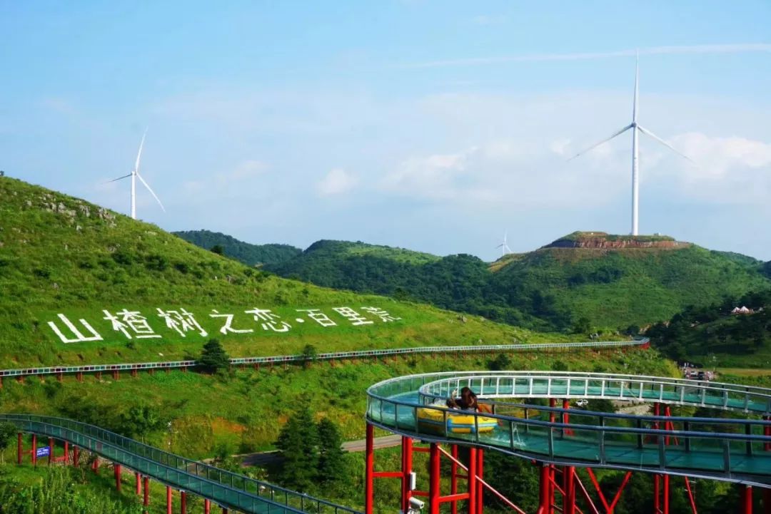 百里荒景区‖2019追逐梦想,2020不负韶华!