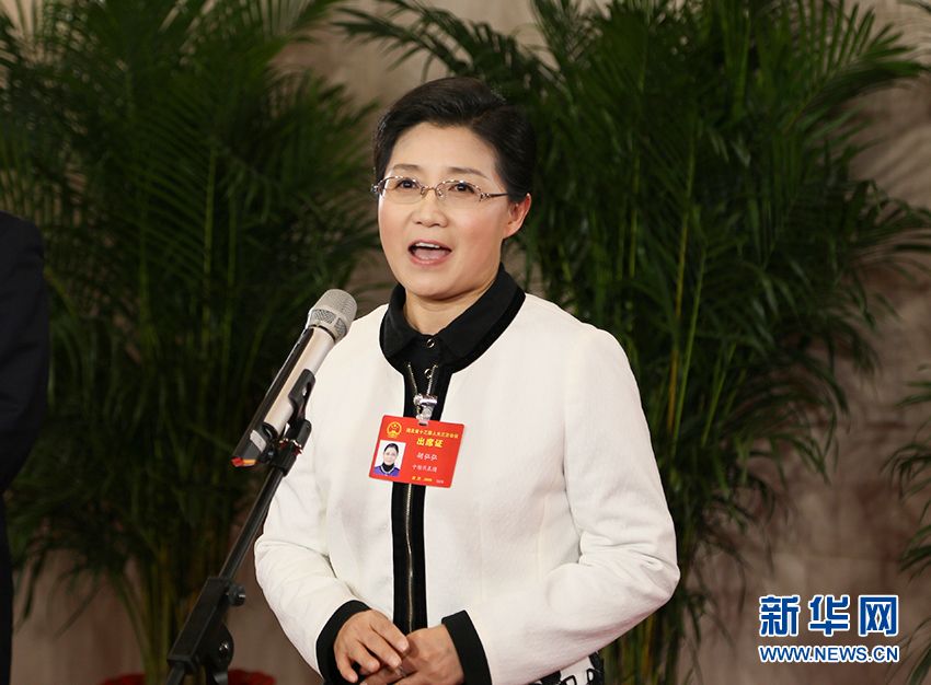 委员,中南财经政法大学法学院教授胡弘弘在"代表通道"接受媒体采访