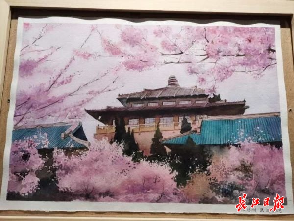 江苏援汉女护士画最美武汉 :武大的樱花开了,我想去看看
