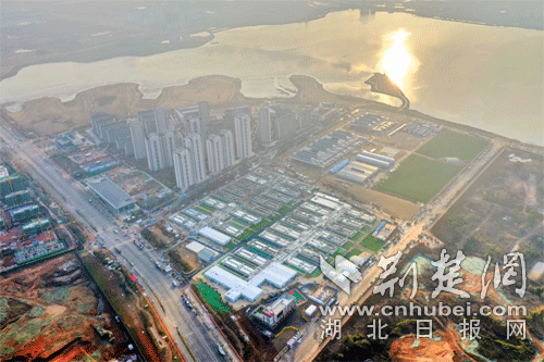 [抗疫先锋]"荆楚楷模"肖能文:雷神山体验生死时速