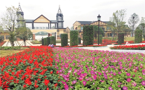 鲜花装点迎开园-荆楚网-湖北日报网