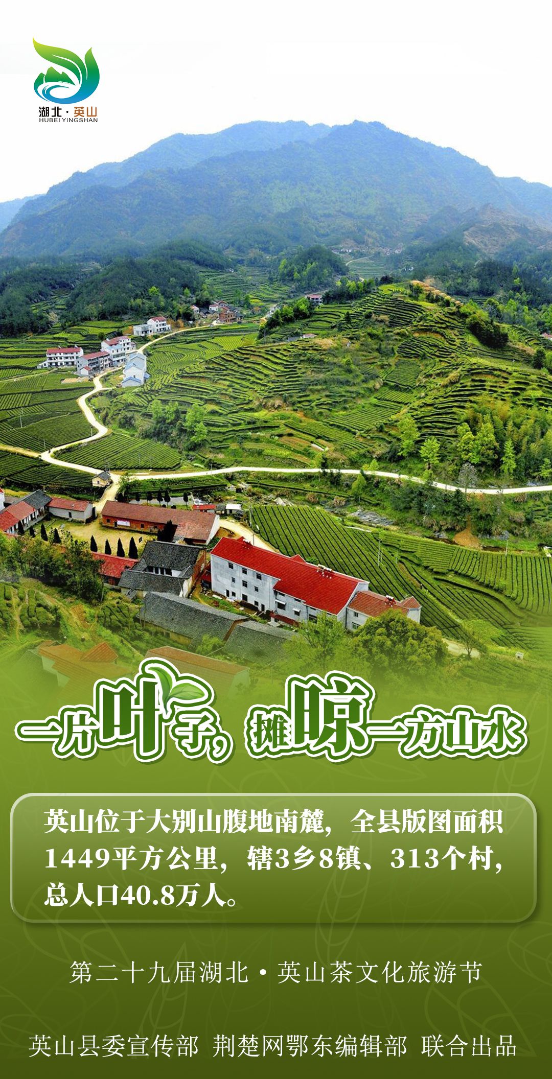 海报|湖北英山:最是一年春好处 茶园放歌品香茗