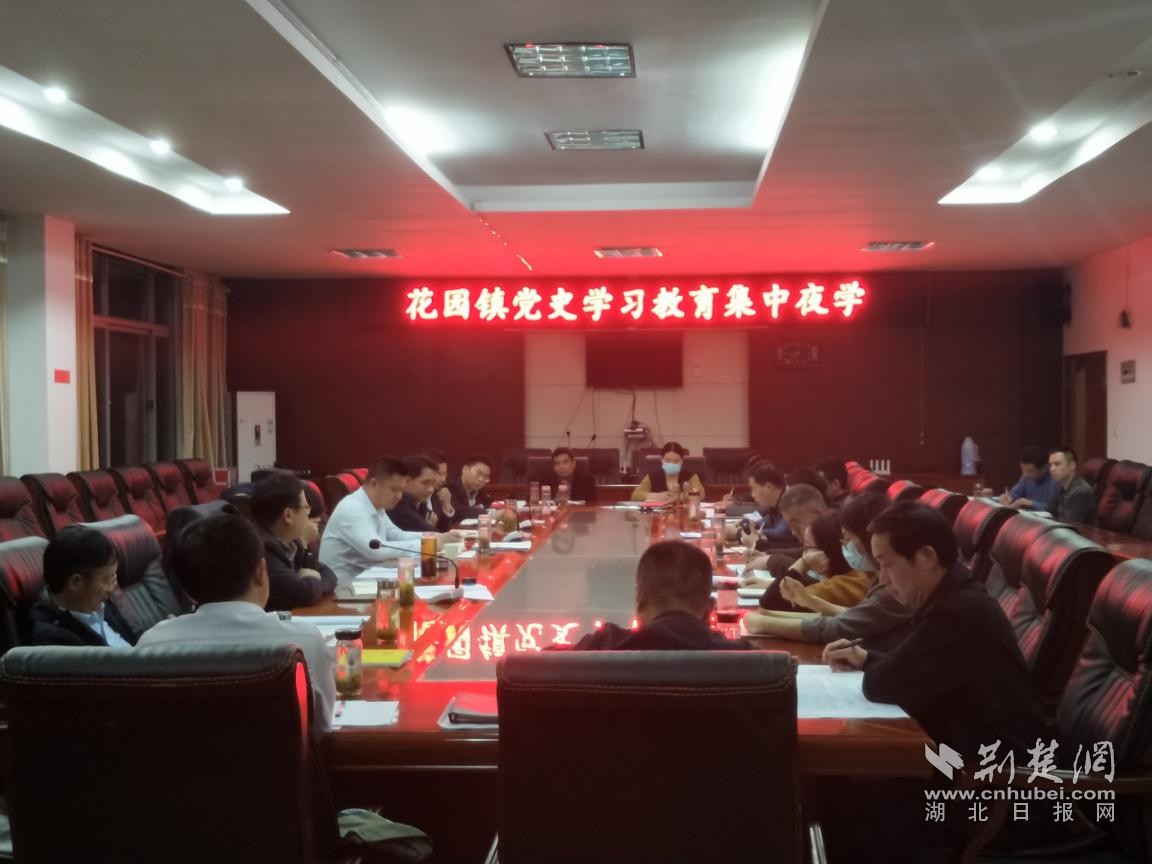 孝昌花园镇让党史学习教育落实在基层