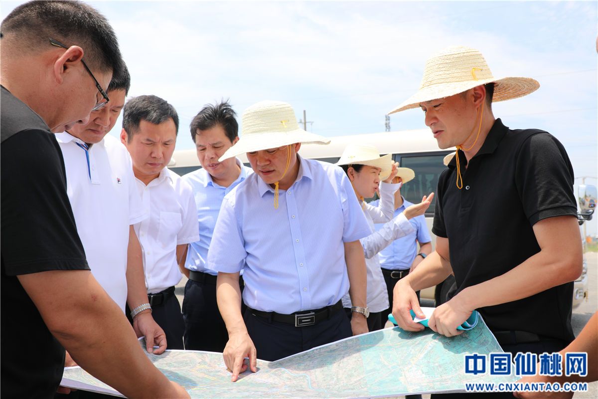 市委书记罗联峰调研黄鳝产业示范带建设