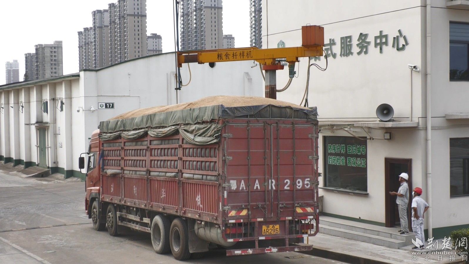 货运车辆正在交粮.