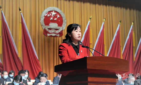 英山县委副书记,代县长作报告.