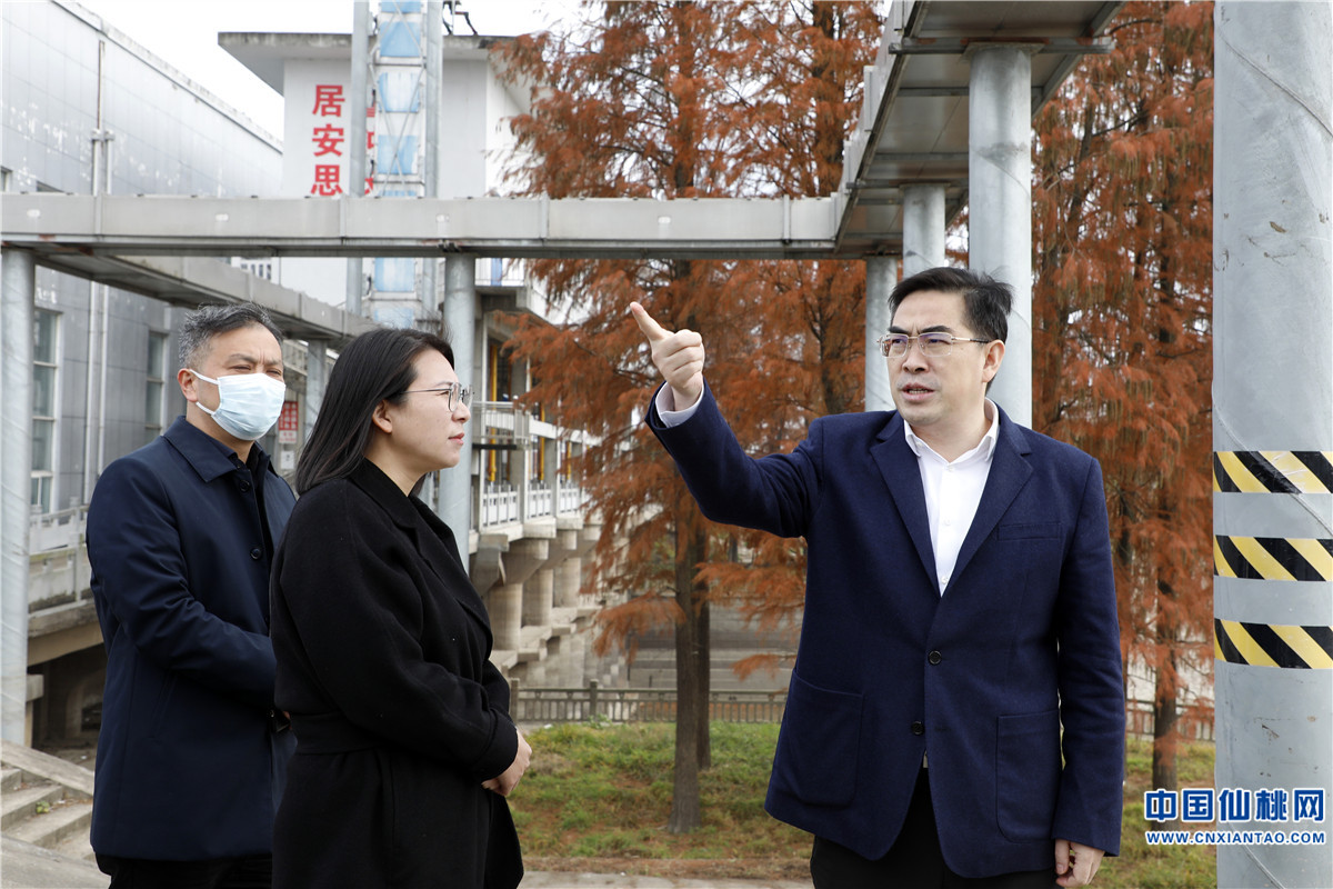 孙道军调研重点交通项目和农旅融合规划建设情况