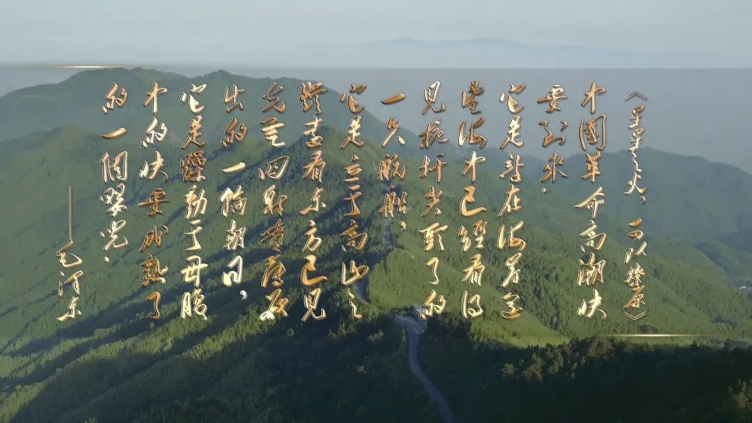 井冈星火,照亮征程 |《美术经典中的党史》邀您走近中国画《井冈山