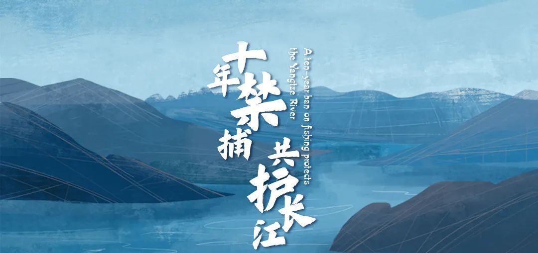 十年禁渔实施一年中纪报这篇报道开篇提到荆州