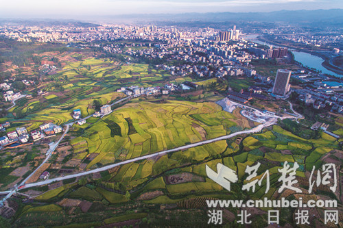 触摸乡村振兴幸福感――房县城关镇经济社会高质量跨越式发展纪实