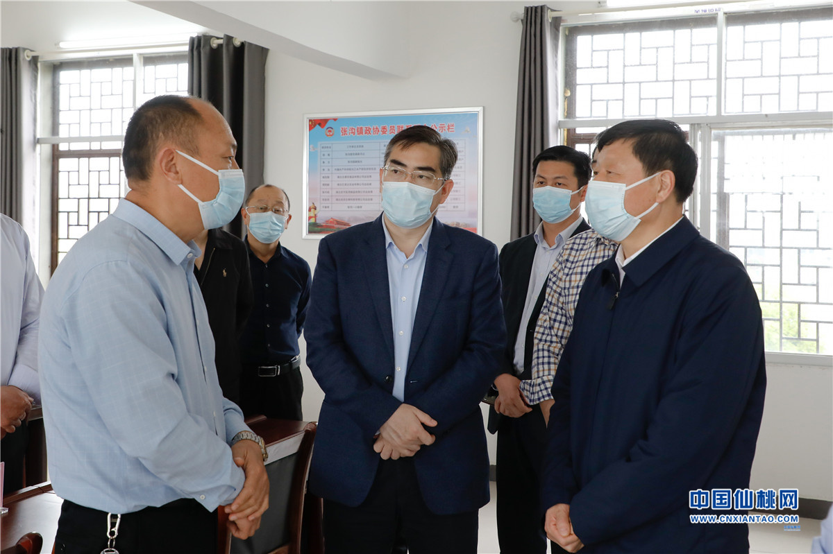 市政协主席印家利,市政协副主席魏家军,黄文兵,代兆