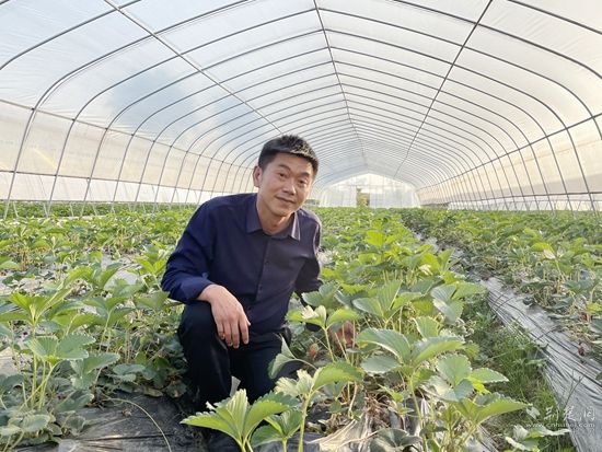 大冶金青牛农业科技发展有限公司负责人胡卫明.