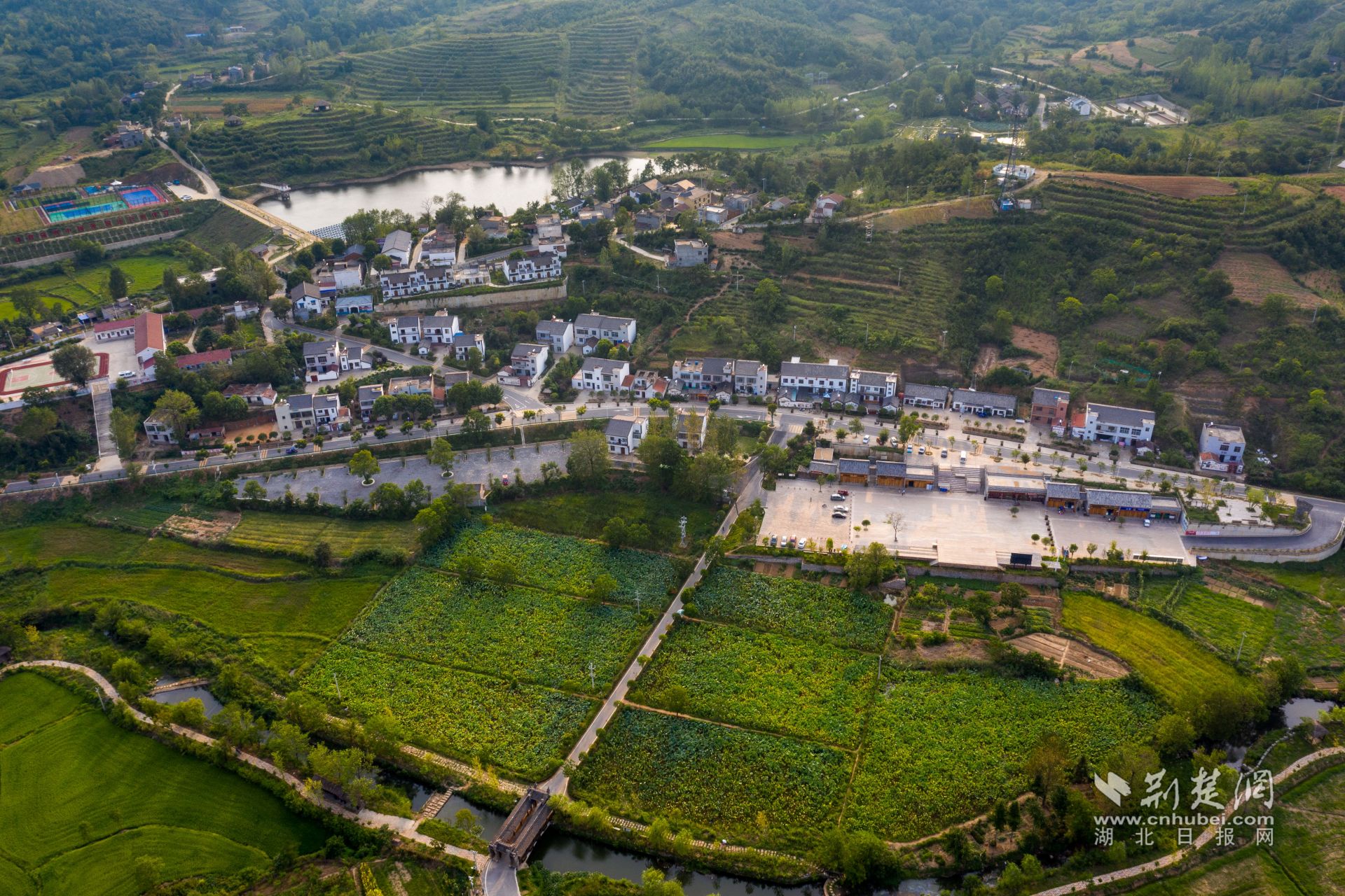 大悟县新城镇金岭村.