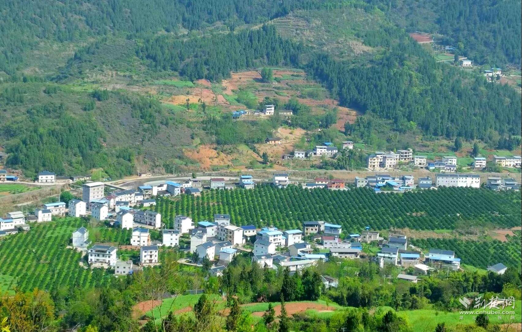 巴东营盘村小产业激发振兴活力