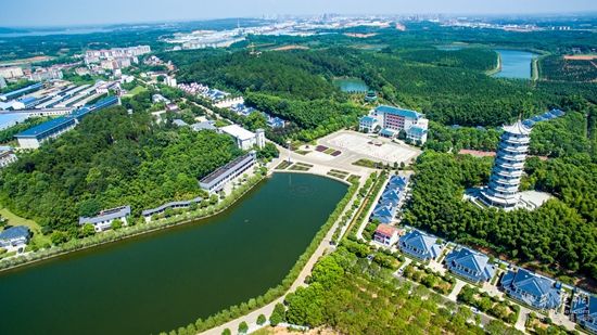 dji_0033湖北第一组——官桥八组 雷平摄13807241417.jpg.jpg