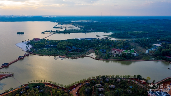 嘉鱼县委副书记,县长胡金云作政府工作报告