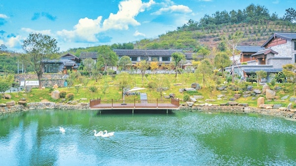 游客留下来悦享慢时光武当山旅游经济特区推进文旅体农融合发展掠影