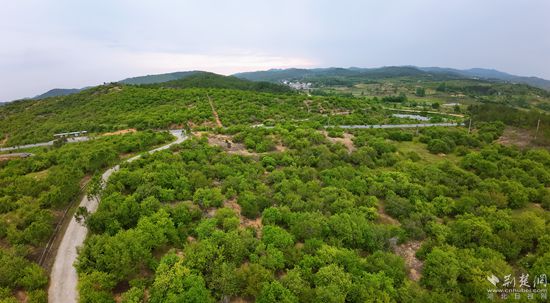 麻城顺河镇:空中俯瞰"顺山顺水"(组图)-荆楚网-湖北日报网