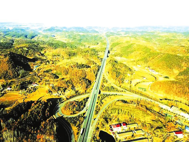 阔步迈向绿富美随县柳林镇团结村和美乡村建设探访