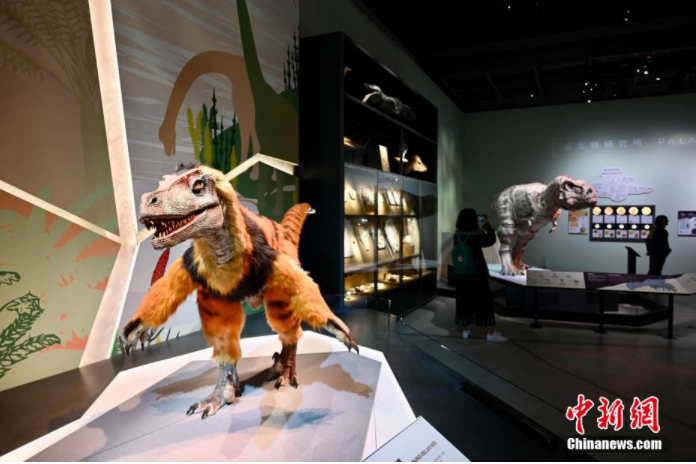 香港科学馆展览展示635亿年以来地球生命的演化