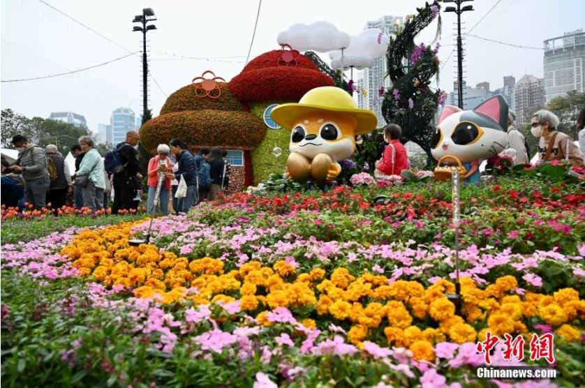 中新社记者 李志华 摄3月15日,香港花卉展览在维多利亚公园正式开幕